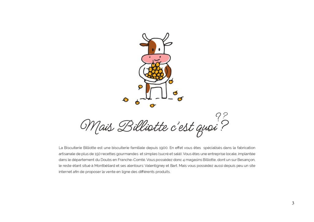 Com'éclat-rapport_page-0003