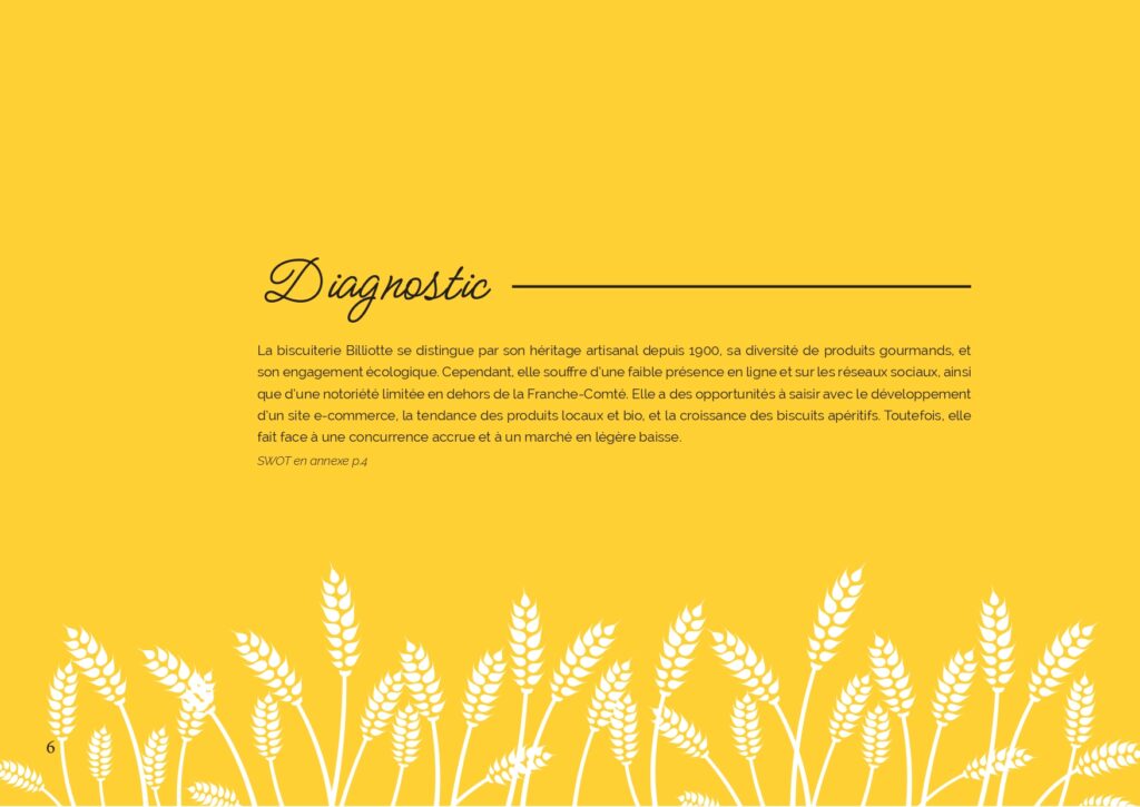 Com'éclat-rapport_page-0006